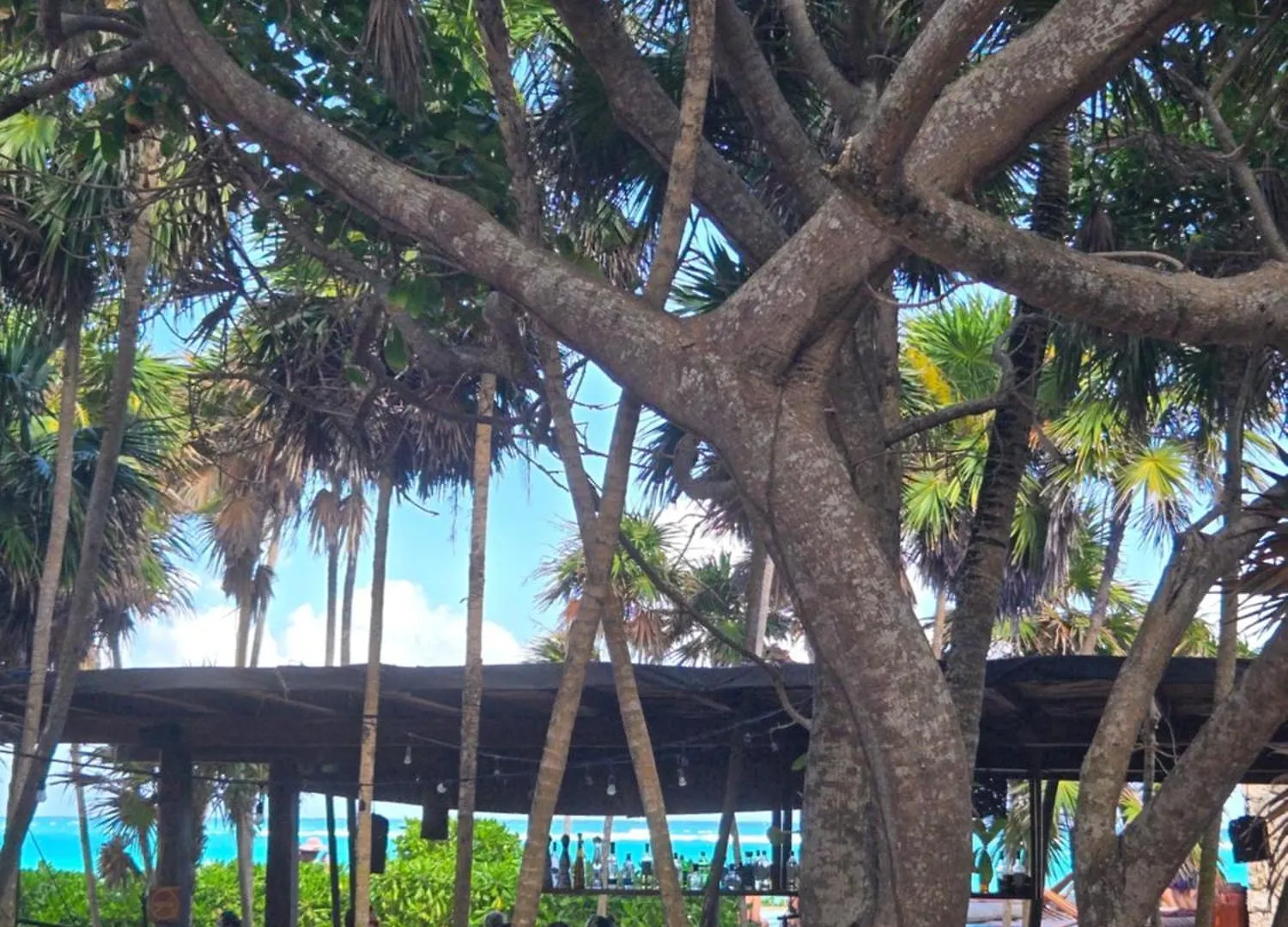 Apartment With Private Jacuzzi And Beach Club Tulum